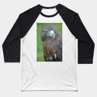 Steely Eye Stare Baseball T-Shirt